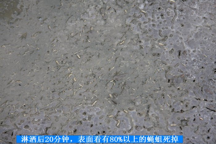 201063014242819251.jpg