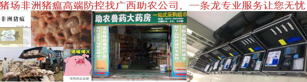 豬場(chǎng)非洲豬瘟高端防控找廣西助農(nóng)公司，一條龍專(zhuān)業(yè)服務(wù)讓您無(wú)憂(yōu)