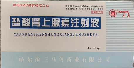 鹽酸腎上腺素--哈爾賓三馬  主要用于心臟驟停的急救；緩解嚴(yán)重過(guò)敏性疾患的癥狀；亦常與局部麻醉藥配伍，以延長(zhǎng)局部麻醉持續(xù)時(shí)間。