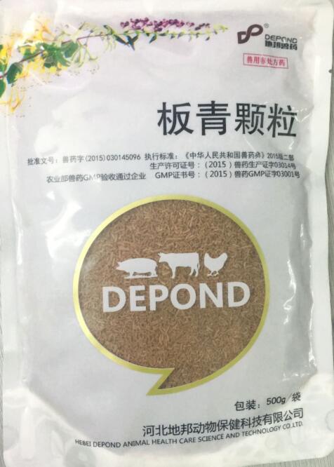 板青顆粒-清熱解毒，涼血。主治風熱感冒，咽喉腫痛，熱病發(fā)斑。-河北地邦
