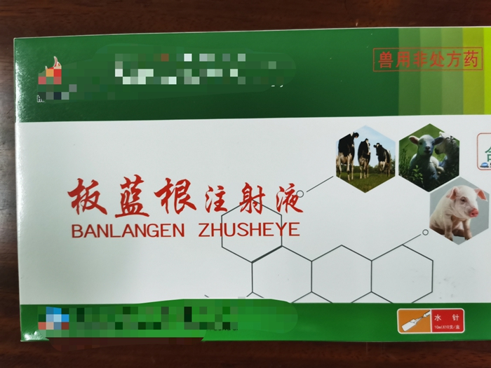 板藍(lán)根注射液--主治家畜流感，仔豬白痢，肺炎等發(fā)熱性疾病