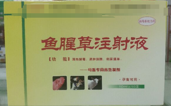 魚腥草注射液，清熱解毒，消腫排濃，利尿通琳，乳房脹痛，排尿不暢等