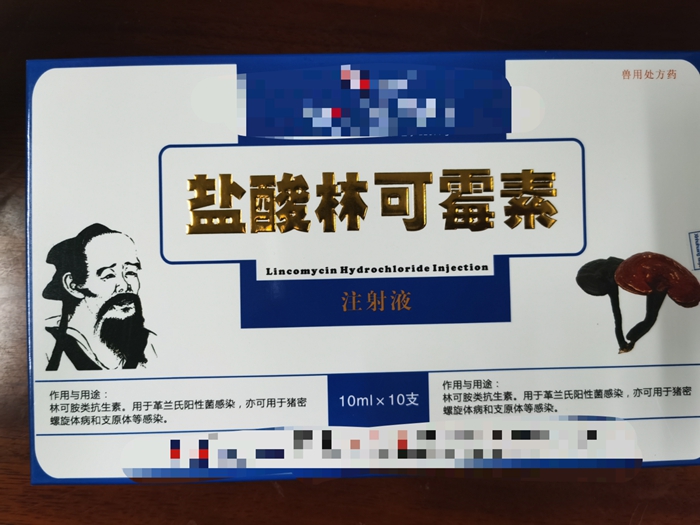 鹽酸林可霉素注射液--用于革蘭氏陽性菌，豬密螺旋體病和支原體等