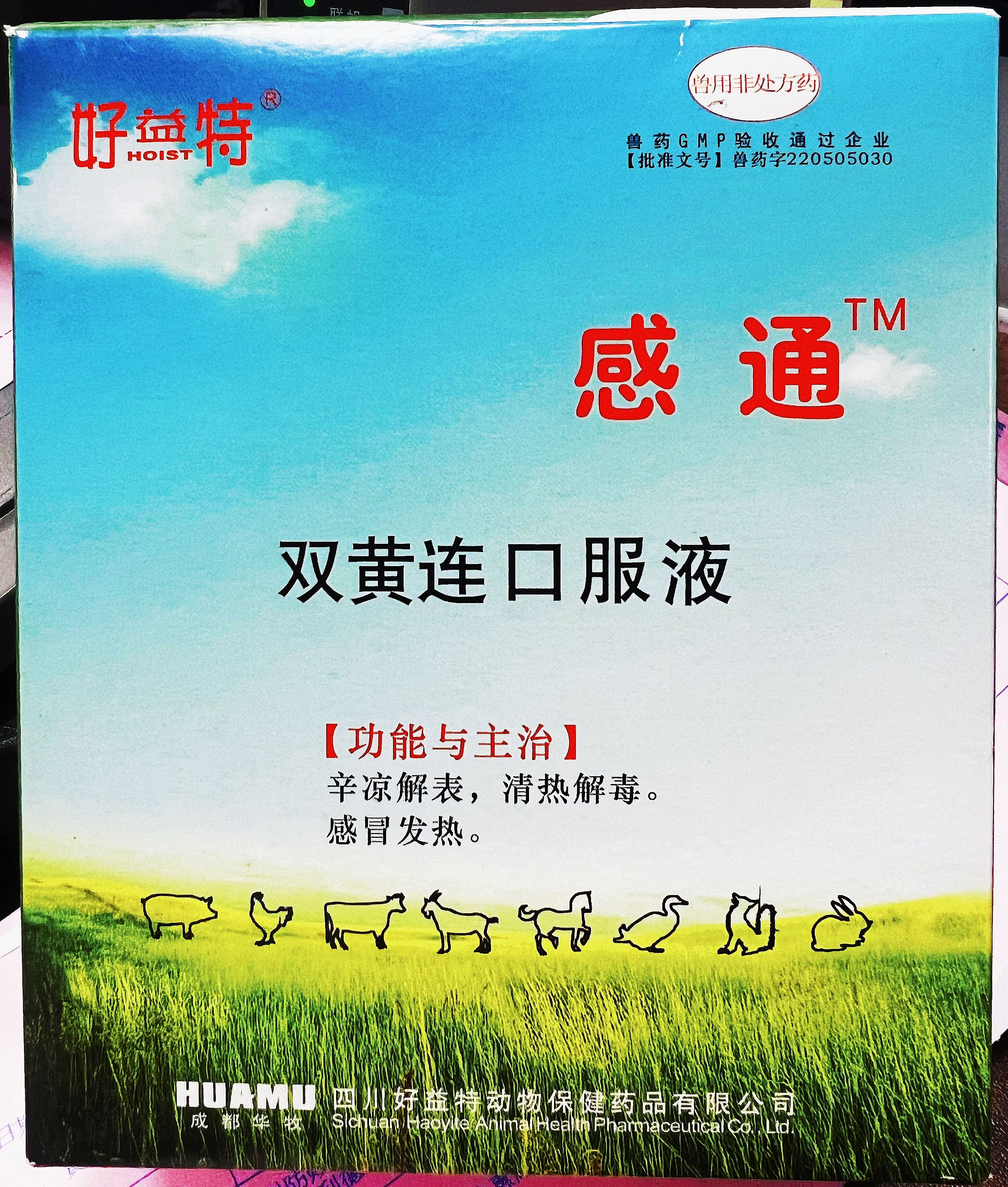 雙黃連口服液，辛涼解表，清熱解毒，感冒發(fā)熱，體溫升高，發(fā)熱與惡寒同時(shí)并見(jiàn)
