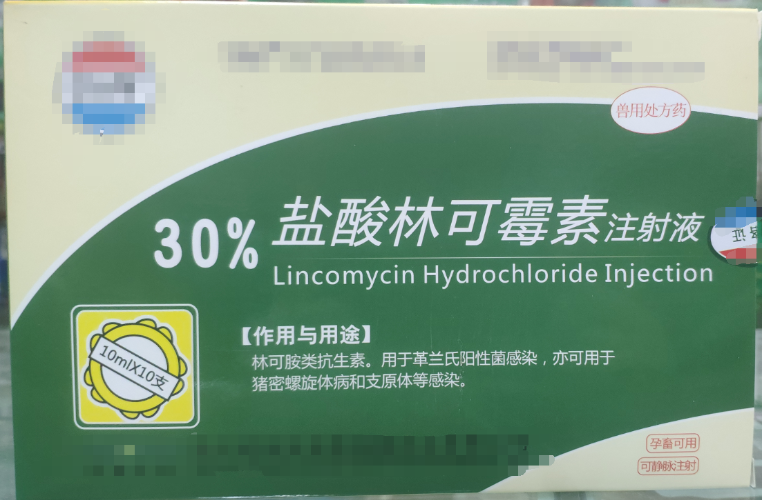 30%林可霉素注射液，用于革蘭氏陽性菌感染，亦用于母蓄的產(chǎn)后消炎，亦可用于豬密螺旋體和支原體感染