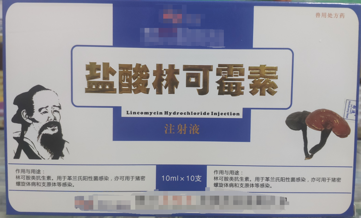 林可霉素注射液，用于革蘭氏陽性菌感染，亦可用于豬密螺旋體和支原體感染