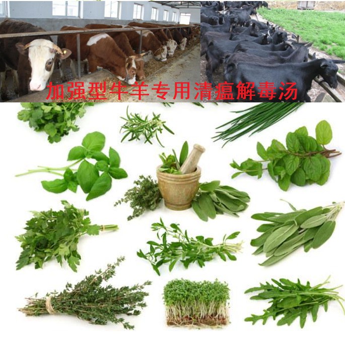加強(qiáng)型牛羊?qū)Ｓ们逦两舛緶?6味原生中草藥公開(kāi)組方，牛羊養(yǎng)殖場(chǎng)常備無(wú)憂(yōu)