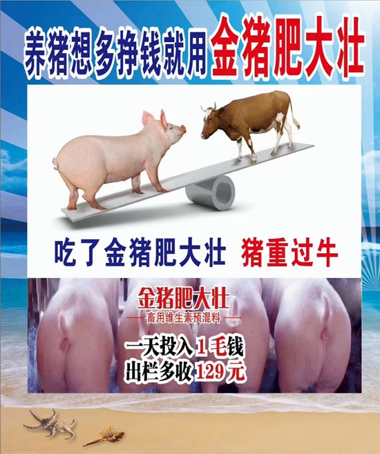 養(yǎng)豬想多掙錢就用金豬肥大壯--1天投入1毛錢，提前出欄13天，多長20斤，就是牛