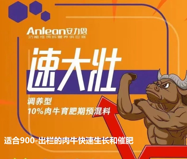 安力恩——速達(dá)壯調(diào)養(yǎng)型10%肉牛育成期預(yù)混料-適合900-出欄的肉?？焖偕L和催肥