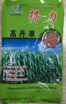 得力高丹草---“養(yǎng)魚(yú)青飼料之王”，具有產(chǎn)量高、葉量豐富、適應(yīng)性廣、營(yíng)養(yǎng)豐富、生長(zhǎng)速度快、多次刈割、利用率高