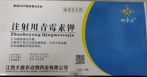 注射用青霉素鉀（160萬(wàn)），治療呼吸道感染、豬丹毒、炭疽病毒、敗血癥，肺疫、惡性水腫、腹膜炎、膿腫等