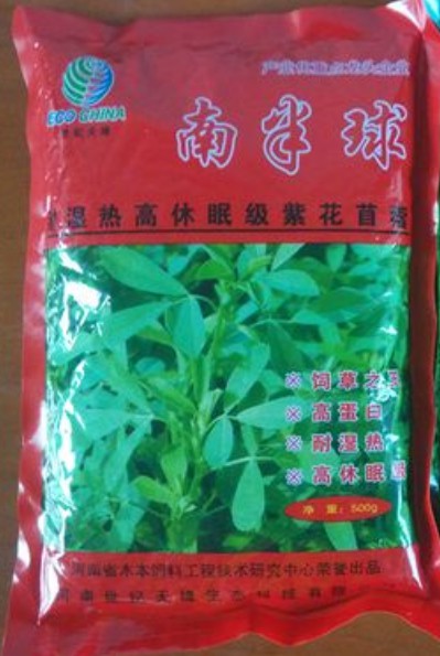 南半球紫花苜蓿,富含粗蛋白、維生素和礦物質(zhì)及動(dòng)物必需的氨基酸優(yōu)質(zhì)牧草