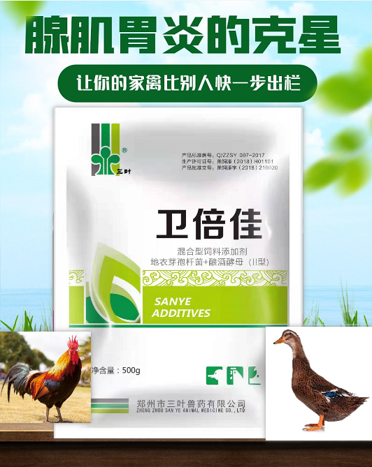 【新產(chǎn)品】腺肌胃炎的克星，讓你的家禽比別人更快一步出欄！