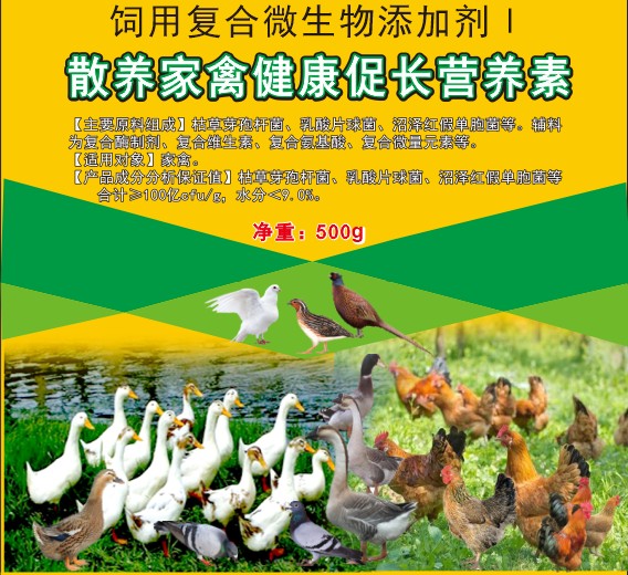 散養(yǎng)家禽健康促長(zhǎng)營(yíng)養(yǎng)素，散養(yǎng)土雞土鴨促長(zhǎng)營(yíng)養(yǎng)素，散養(yǎng)土蛋雞增產(chǎn)保健營(yíng)養(yǎng)素