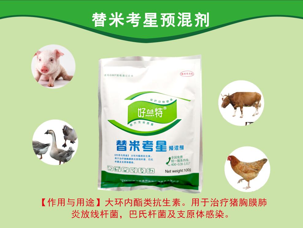 替米考星粉，呼吸道病更好的抗生素，主要防治家畜肺炎(由胸膜肺炎放線桿菌、巴氏桿菌、支原體等感染引起)、禽支原體病及泌乳動物的乳腺炎。