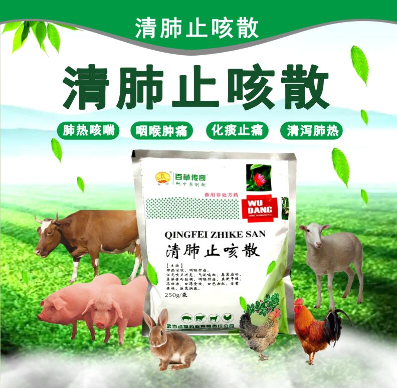 清肺止咳散 清瀉肺熱，化痰止痛，咳喘，咽喉腫痛