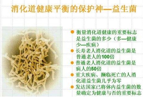 益生菌1.jpg