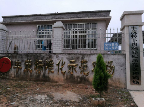 浦北縣生態(tài)服務(wù)1.png
