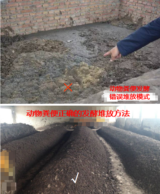 動物糞便發(fā)酵堆放錯誤與正確模式.png