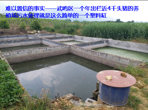 養(yǎng)殖場(chǎng)污水處理步驟53.png