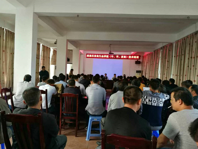 鹿寨縣生態(tài)養(yǎng)殖1.png