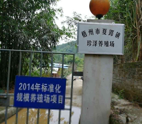 珍澤養(yǎng)殖場生態(tài)養(yǎng)殖案例1.png