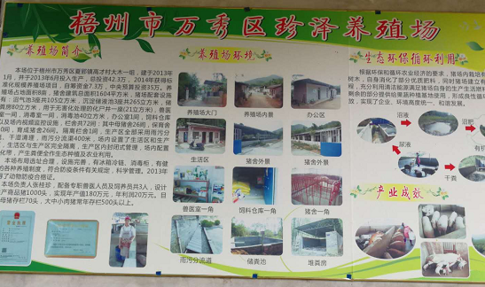 珍澤養(yǎng)殖場生態(tài)養(yǎng)殖案例2.png