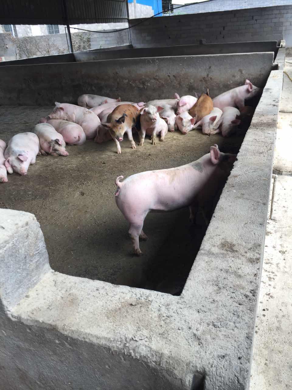 微信圖片_3.jpg