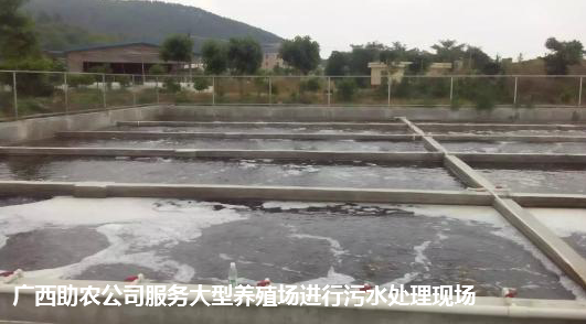污水處理現(xiàn)場(chǎng).png