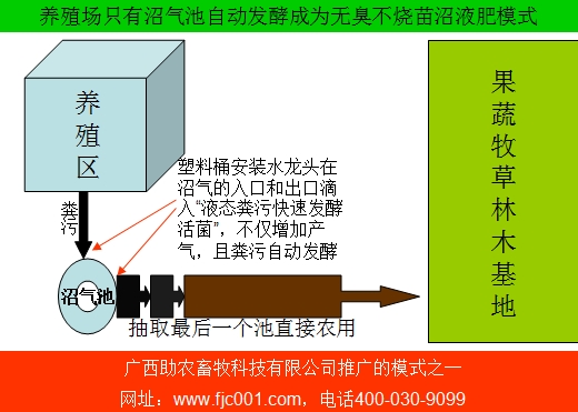 養(yǎng)殖場只有沼氣池自動發(fā)酵成為無臭不燒苗沼液肥模式.jpg