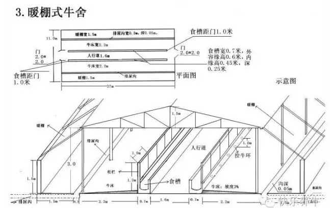 暖棚式牛舍平面設(shè)計(jì)圖紙