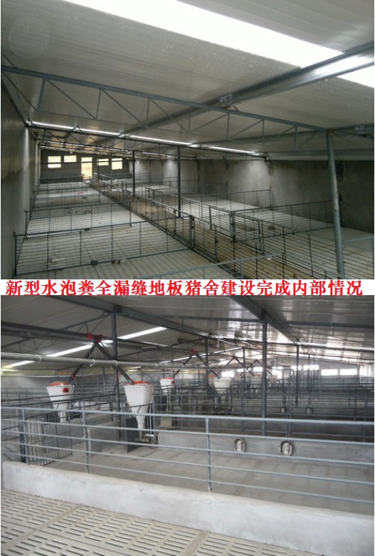 新型水泡糞全漏縫地板豬舍建設(shè)完成內(nèi)部情況.jpg