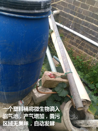 武鳴區(qū)現代生態(tài)豬場4.png