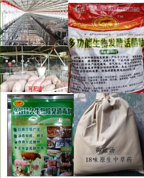 3個組合運用產(chǎn)品.jpg