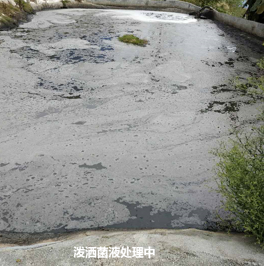 畜禽流體糞污快速發(fā)酵劑處理污水邊液態(tài)有機(jī)肥現(xiàn)場(chǎng)圖.png