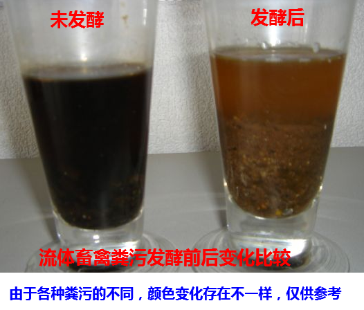 畜禽流體糞污快速發(fā)酵劑處理污水邊液態(tài)有機(jī)肥發(fā)酵前后對(duì)比圖.png