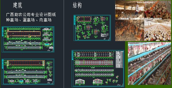 家禽養(yǎng)殖場(chǎng)建設(shè)1.jpg