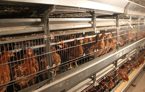 1610004085837183.png