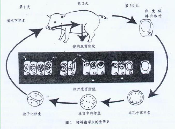 1614582947322351.jpg