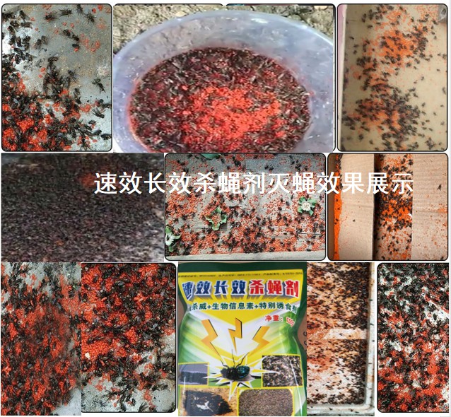 速效長效殺蠅劑滅蠅效果展示.jpg