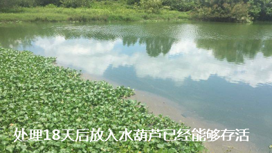養(yǎng)殖場(chǎng)污水處理步驟10.png