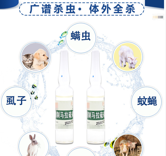 微信圖片_20210520154628.png