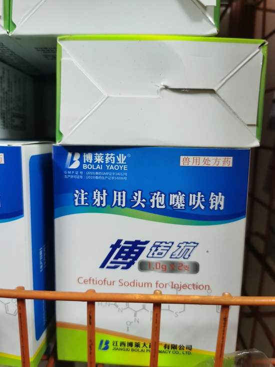 13094f3b2c67aaf75321f87318e9fac.jpg
