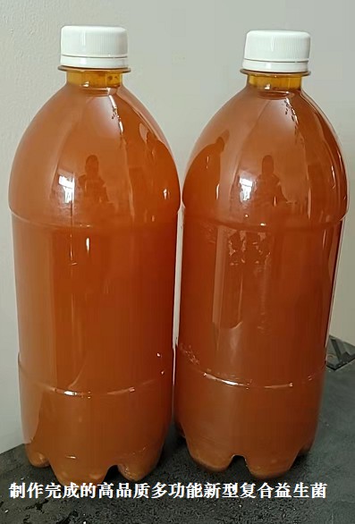 制作完成的高品質(zhì)多功能新型復(fù)合益生菌3.jpg