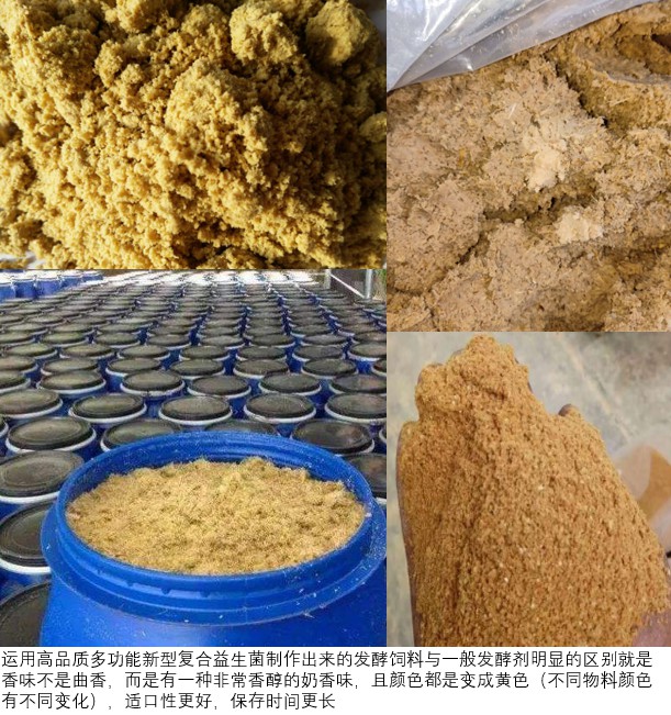 使用高品質(zhì)多功能新型復(fù)合益生菌制作出來(lái)的發(fā)酵飼料為黃色.jpg