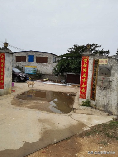 合浦1.jpg