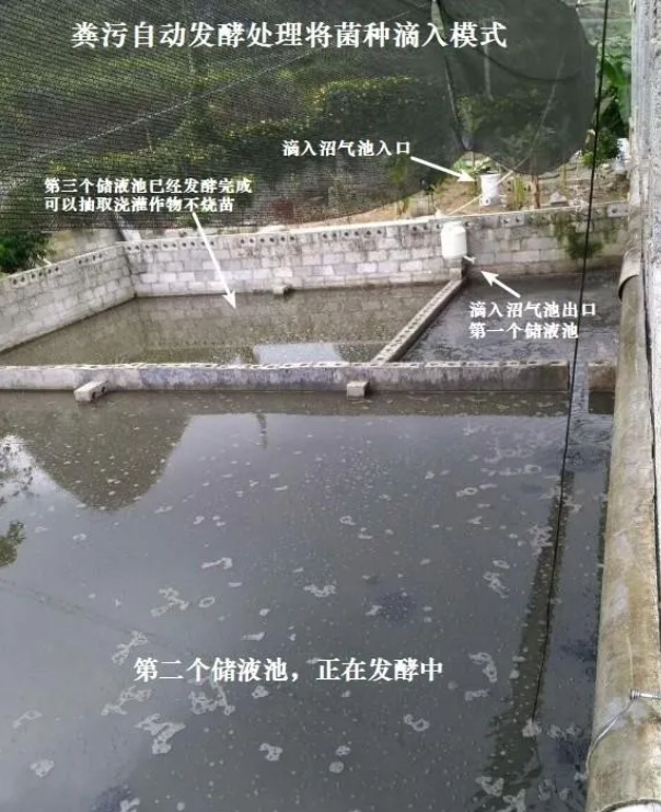1641354071140731.png