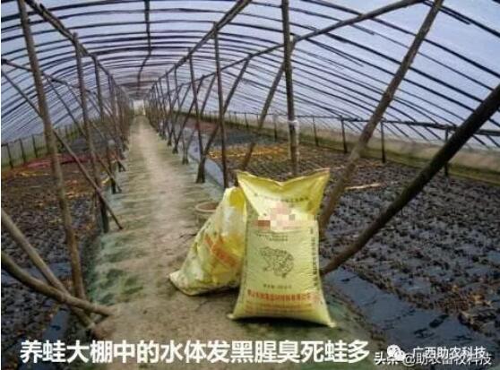 QQ截圖20220221113531.jpg