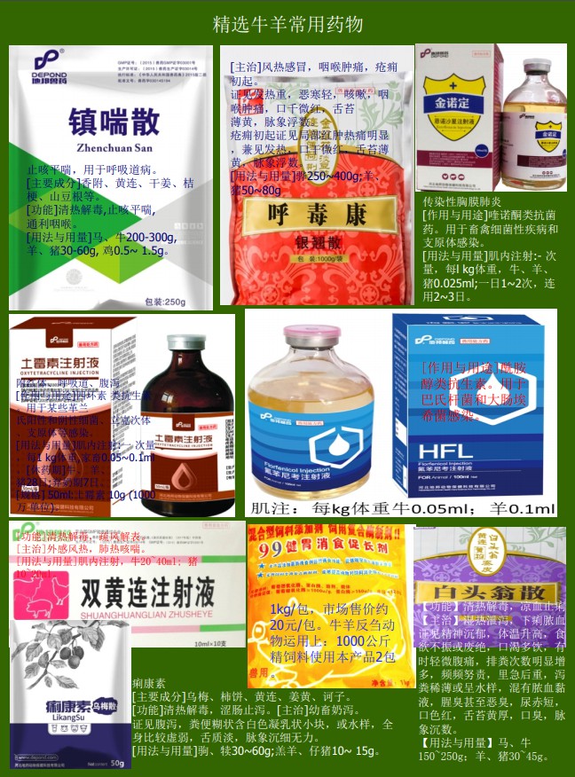 助農(nóng)牛羊服務(wù)資料14.jpg