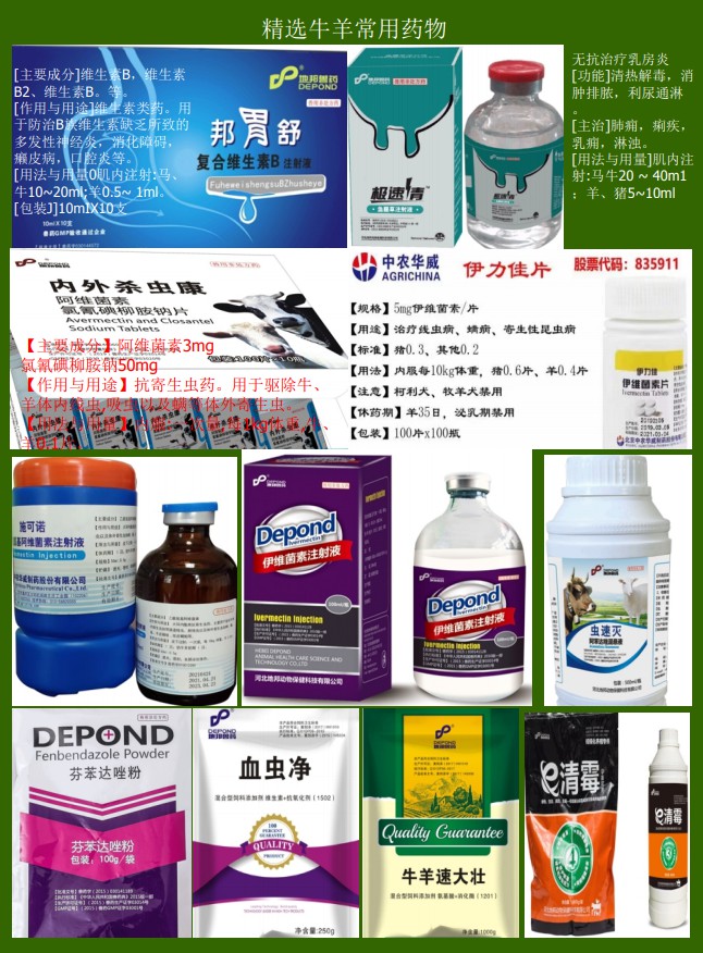 助農(nóng)牛羊服務(wù)資料15.jpg
